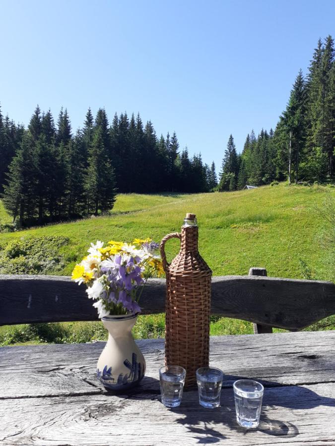 Brunarica Na Goreljeku 보히니 외부 사진